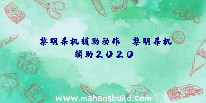 「黎明杀机辅助动作」|黎明杀机辅助2020